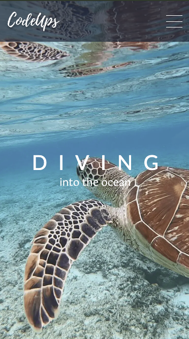 divingスマホMV